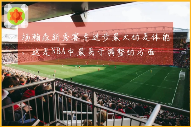 杨瀚森新秀赛季进步最大的是体能，这是NBA中最易于调整的方面